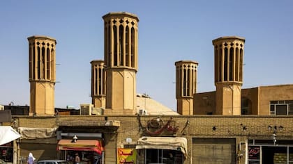 Estas estructuras pueden tener distintas formas, pero su función es siempre la misma