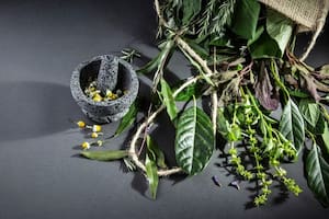 Estas hierbas no solo dan sabor a tus platos; también ayudan al buen funcionamiento del organismo