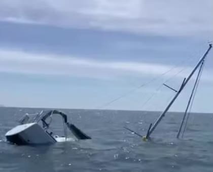 Estas orcas se hicieron famosas por los ataques reiterados a las embarcaciones (Foto: X)