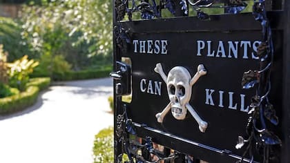 "Estas plantas pueden matar", la advertencia en la puerta del Jardín de los Venenos
