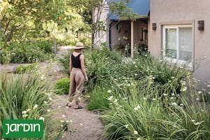 Plantas resistentes que ahorran tiempo y evitan intervenciones