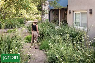 Plantas resistentes que ahorran tiempo y evitan intervenciones