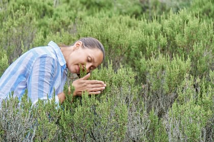 Estas plantas son de fácil cultivo e incluso se adaptan muy bien a macetas