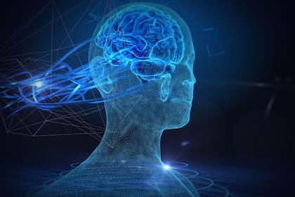 Estas plataformas combinan juegos interactivos y ejercicios diseñados para activar diferentes áreas del cerebro, ofreciendo una herramienta innovadora para el entrenamiento cognitivo