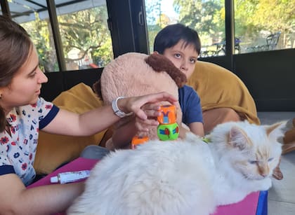 "Estas prácticas no buscan reemplazar las terapias clínicas tradicionales, sino que actúan como un recurso terapeútico innovador para potenciar el trabajo de los profesionales, ofreciendo múltiples beneficios"