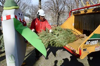 Adiós a los árboles de Navidad: cuándo y dónde será el festival Mulchfest 2026 de Nueva York