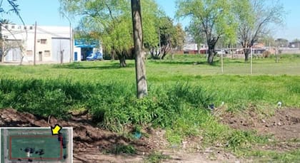 Estas son las parcelas 5 y 7