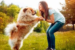 Estas son las razas de perros más grandes del mundo