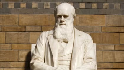 Estatua de Charles Darwin frente al Museo de Historia Natural en Londres
