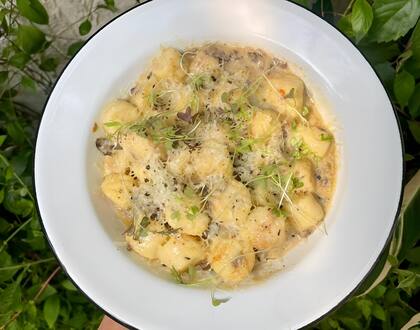 Este 29 de noviembre, Funga propone ñoquis en clave de temporada, donde los hongos toman el rol protagónico y se combinan con vegetales frescos y quesos de pequeños productores