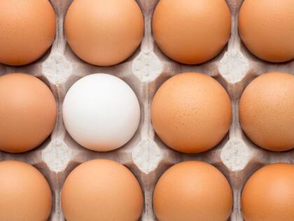 Este año, la Argentina cerrará con cerca de 400 huevos producidos por habitante: 385 destinados al mercado interno, entre 7 y 8 para la exportación y el resto no comercializable por roturas o descarte