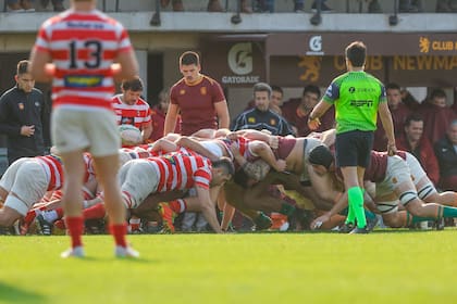 Este año Newman se muestra más fuerte en la delantera, con forwards que ganan incidencia en su juego; su rugby es más completo, pero aun así tuvo un bajón importante en la primera mitad de la etapa regular.