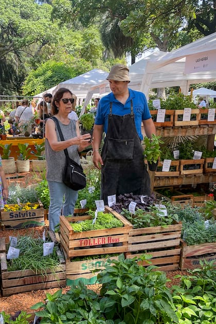 Este año se amplía la cantidad expositores. Habrá stands de orquídeas, aromáticas, huerta, suculentas, arreglos florales, rosas