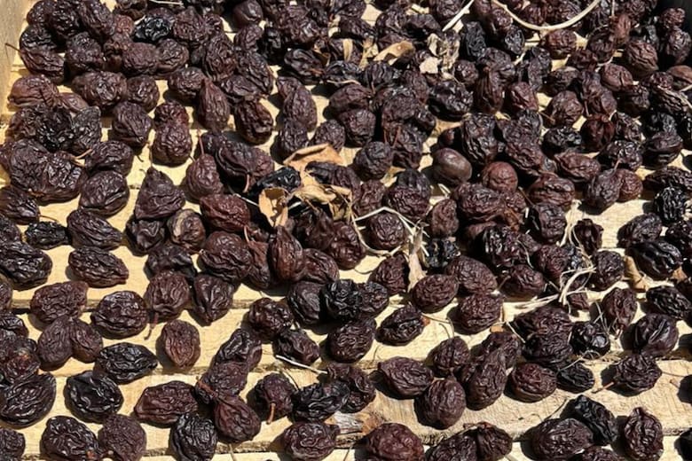 Se recupera la producción de una fruta que los argentinos consumen poco, pero que es muy valorada en el mundo
