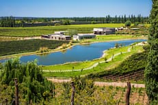 Cuáles son las 7 bodegas argentinas destacadas entre las 50 mejores del mundo