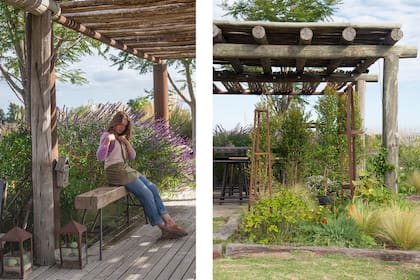 Este barrio cerrado de la zona de Tigre se construyó sobre suelo de relleno de humedades originales. Es suelo pesado, sin agregado de materia orgánica, todo un desafío para los paisajistas. A la derecha, en el sector posterior de la pérgola, se plantaron Stipa tenuissima, Eragrostis curvula, achileas, tacos de reina y zapallos.