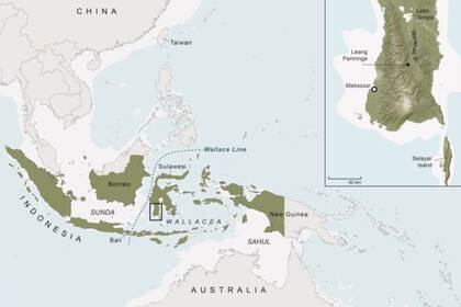 Este descubrimiento genético sugiere que Indonesia y las islas circundantes, una zona conocida como Wallacea, fue el punto de encuentro para el mayor evento de mezcla y apareamiento entre los denisovanos y los humanos modernos, en su viaje inicial a Oceanía