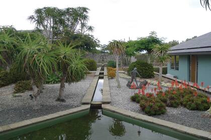 Este diseño en el norte de Nueva Zelanda contiene suculentas que, plantadas en tierra o en macetas, se destacan como grandes esculturas. Los cursos de agua van delimitando los espacios.