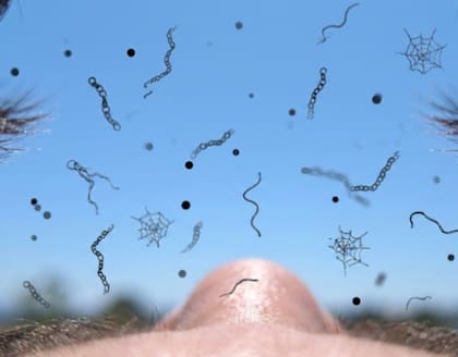 Este efecto óptico merece ser revisado en ciertos casos (Foto: Grok)