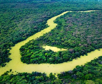 Éste es el segundo bosque en superficie de América del Sur