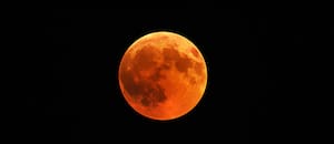 Luna de Sangre: la NASA divulgó horarios y lugares para observar el eclipse lunar