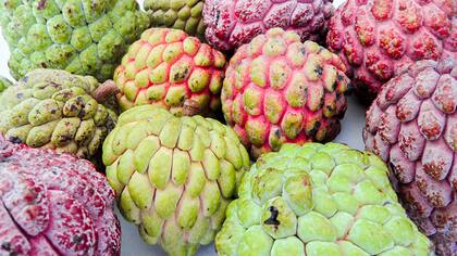Este fruto crece en regiones tropicales como el Caribe, México, Cuba, Perú y el Norte de Sudamérica