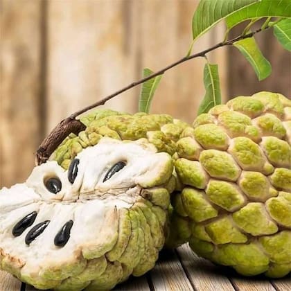 Este fruto tropical posee importantes propiedades anticancerígenas