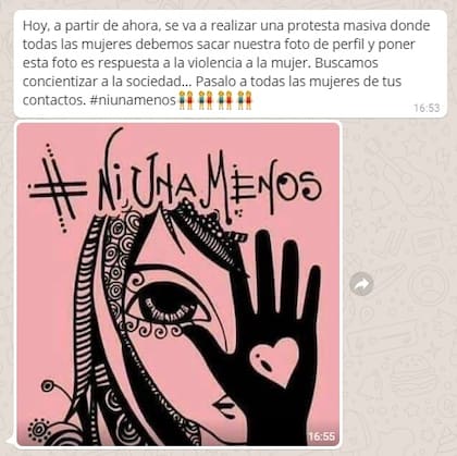 Este fue el mensaje que se hizo viral y planteó como iniciativa hacer ruido en redes sociales poniendo este dibujo de Romina Lerda como foto de perfil