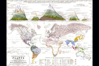 Las ilustraciones de "Geografía física", por decisión de Somerville, no eran necesarias pues para ella eran suficientes los mapas realizados de acuerdo a las estadísticas de Humbold, a quien ella admiraba, un sentimiento que se volvió mutuo tras la publicación del libro