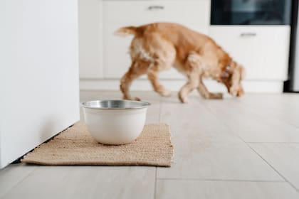 Este hábito, que parece tierno, puede convertirse en un problema