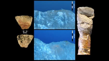 Este hallazgo es la evidencia más remota del uso de toxinas para la caza