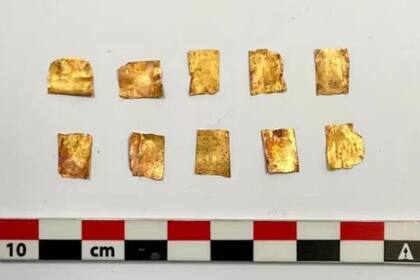 Este hallazgo fue descrito como "único en su tipo" en un comunicado emitido por el equipo responsable