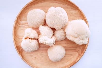 Este hongo se está poniendo en moda y trae muchas posibilidades para experimentar y realzar las cocinas caseras y gastronómicas”, destaca Manuela Donnet