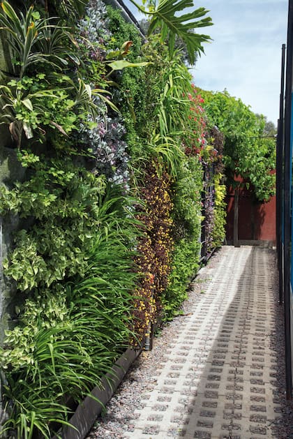 Este jardín vertical continuo armó un verdadero muro verde y dio nueva vida a un lugar de paso.