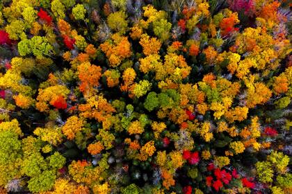 Este jueves comienza el otoño