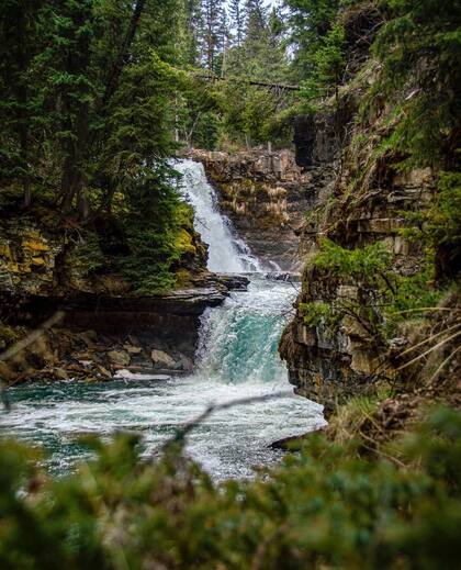 Este lugar logró incrementar el volumen de búsqueda por todas sus atracciones (Instagram/@zarembapottsgroup)