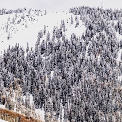 Este lugar tiene la nieva más ligera, seca y esponjosa (Instagram/charlyramos)