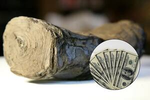 Este manuscrito, conocido como PHerc. 172, quedo ennegrecido por la erupción del Monte Vesubio hace aproximadamente 2.000 años (Canva con fotos de la Universidad de Kentucky y Pexels)