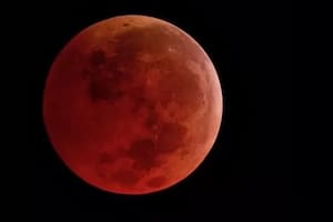 Cuándo es el primer eclipse lunar de 2026 y a qué hora se podrá ver desde la Argentina