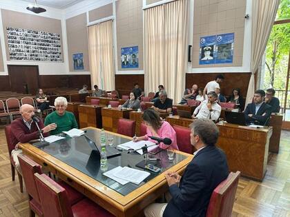 Este martes, una de las comisiones del Concejo Deliberante de la ciudad costera trató por primera vez este proyecto