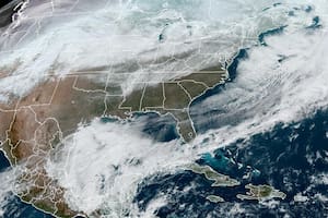Frío polar en Florida: así estará el clima de los próximos días en cinco ciudades