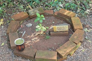 (Este no es) un té con bombilla