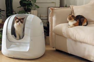 Basta de olor y piedritas en el suelo: diseñan un inodoro inteligente para gatos