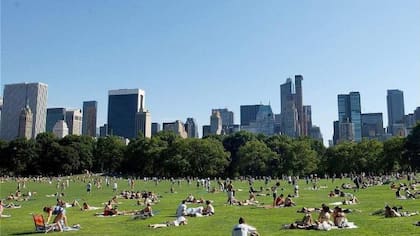 Este parque está ubicado en pleno corazón de Nueva York, Estados Unidos (Foto:Archivo)