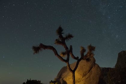 Este parque ofrece una vista impresionante de la Vía Láctea (National Park Service)