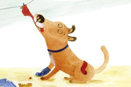 Este perro está convencido de que su nombre es No. ¿Por qué será?