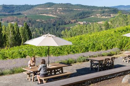 Este reconocimiento es un testimonio del esfuerzo de los productores locales por posicionar al Valle de Willamette como una región vinícola de primer nivel (Archivo)