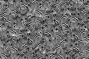 Este reto es para expertos en los acertijos visuales.