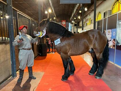 Este sábado, la raza recibió su distinción en la pista central de Palermo