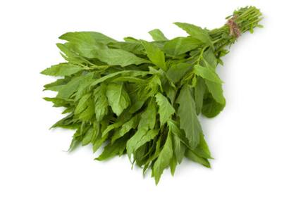 Este té se realiza con la planta y solo agua (Foto Pexels)